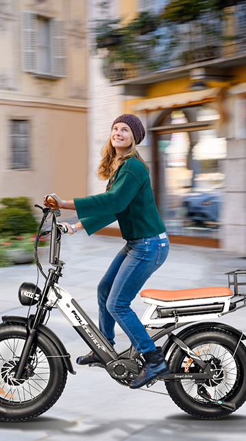 Custom Cargo E-bikes