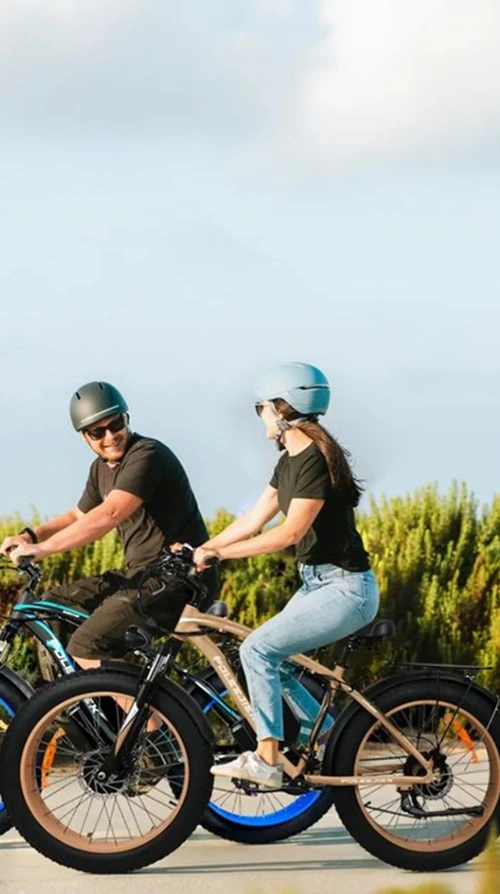 Custom Mountain E-bikes