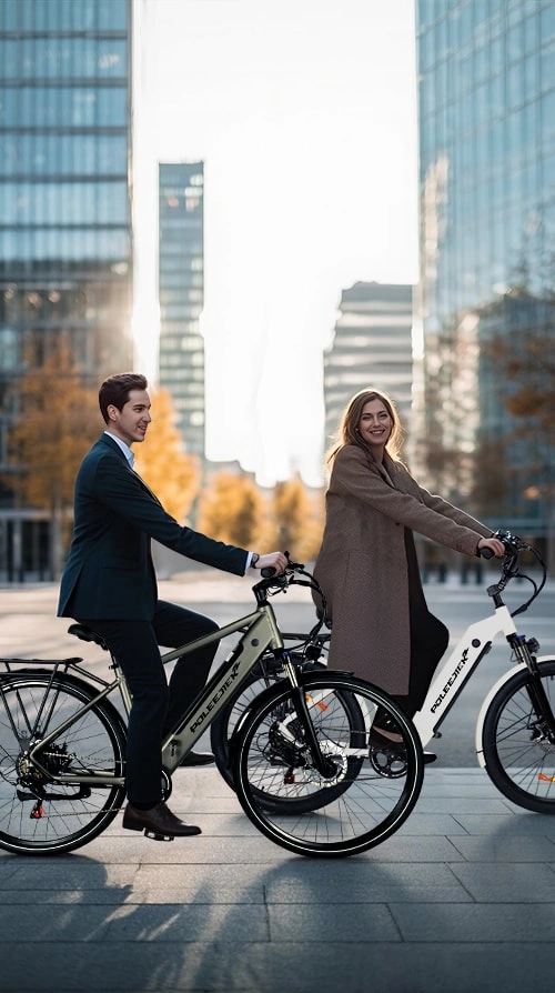 Custom Narrow Tire Ebike