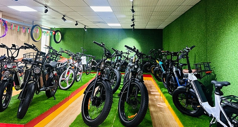 electric bike display