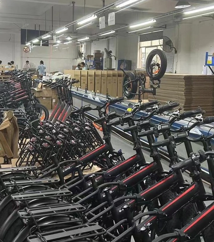 oem ebike manufacturing