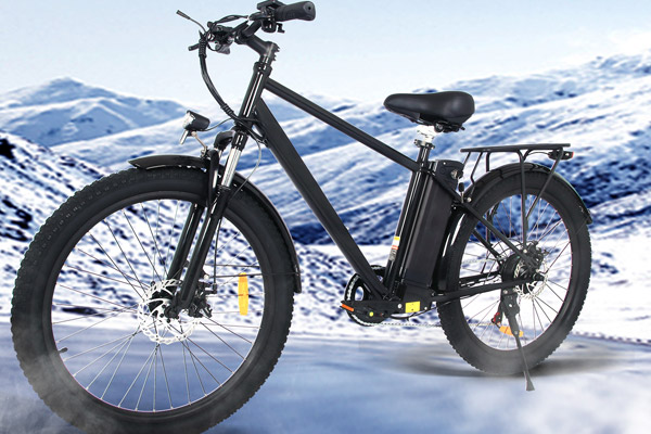 pedal assist electric bike