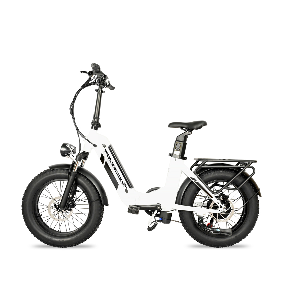 Foldable Electric Bicycle BLJ-2027