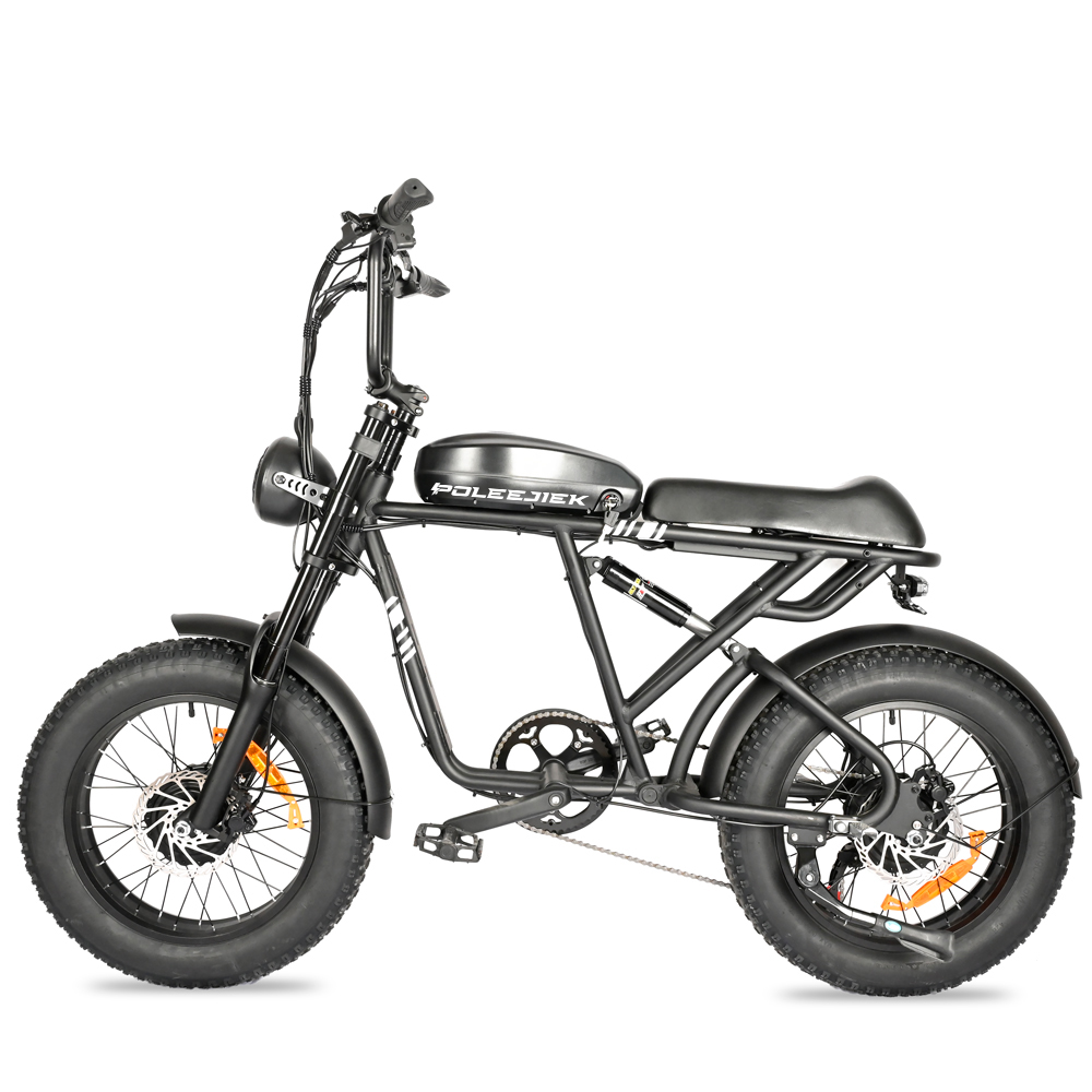 Retro Electric Bicycle BLJ-2008