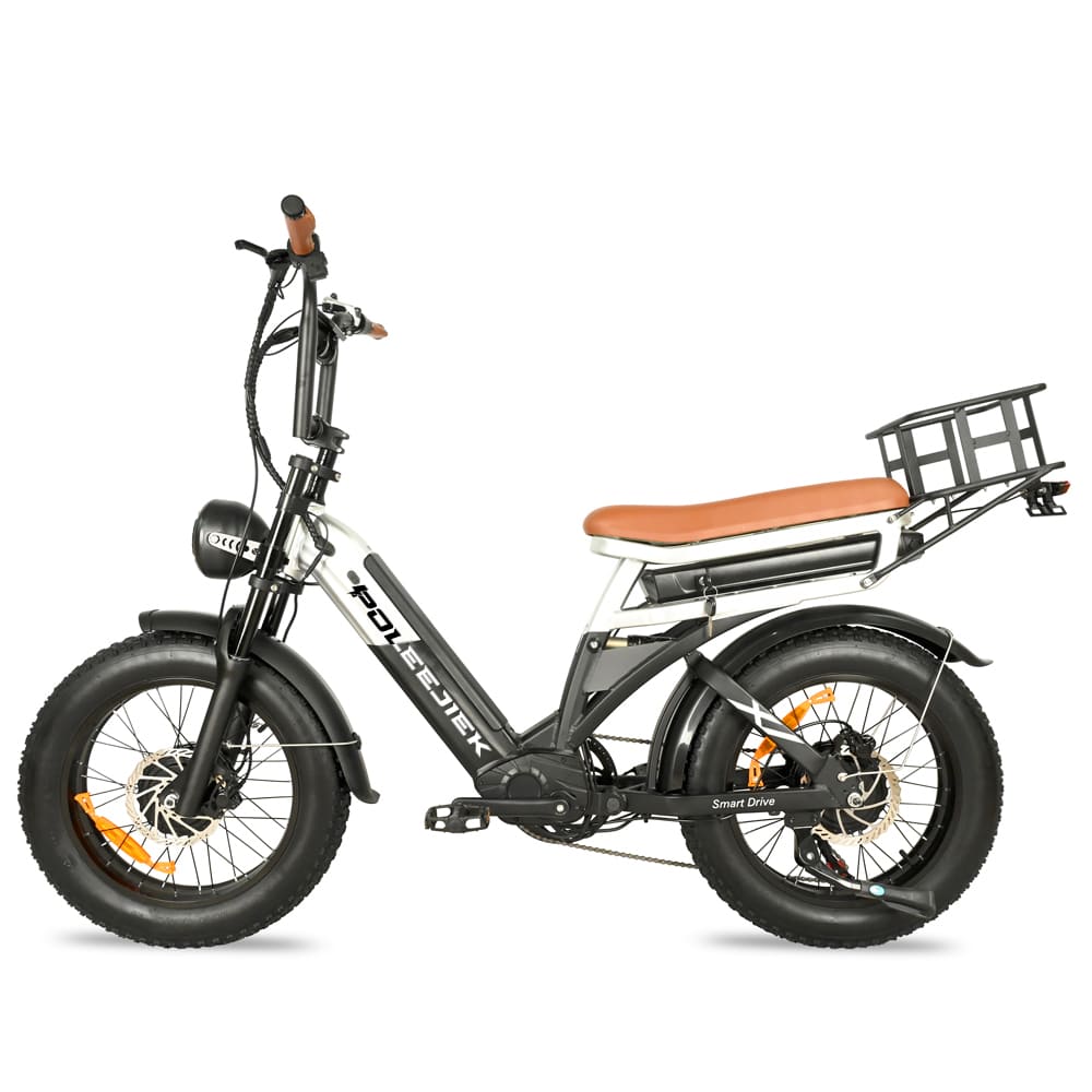 Retro Electric Bicycle Electric Pedal Integrated Bicycle BLJ-2033