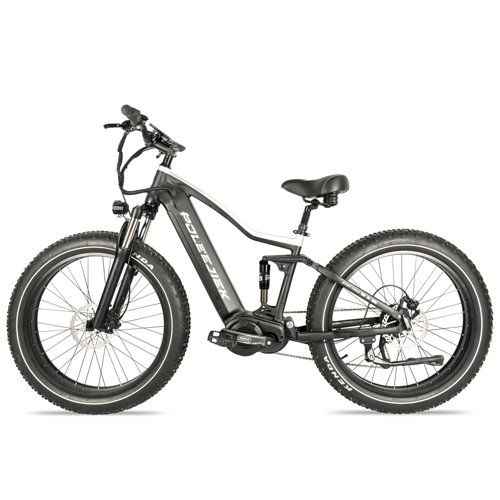 Mid Drive Ebike - 48V 1000W BAFANG Motor, Dual Batteries