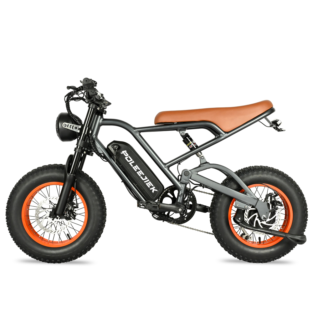 Retro Vintage Style Retro Electric Bicycle BLJ-1601