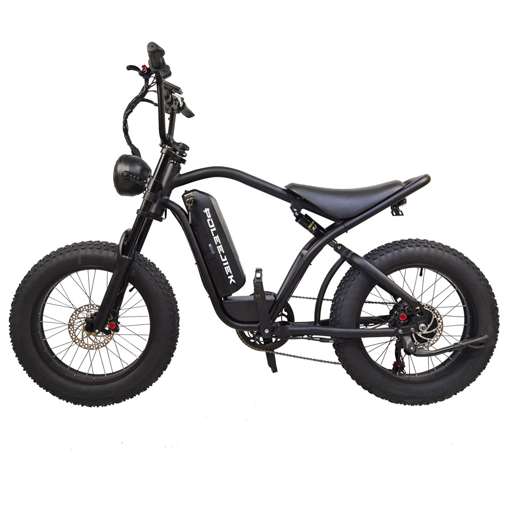 Vintage Looking Electric Bike