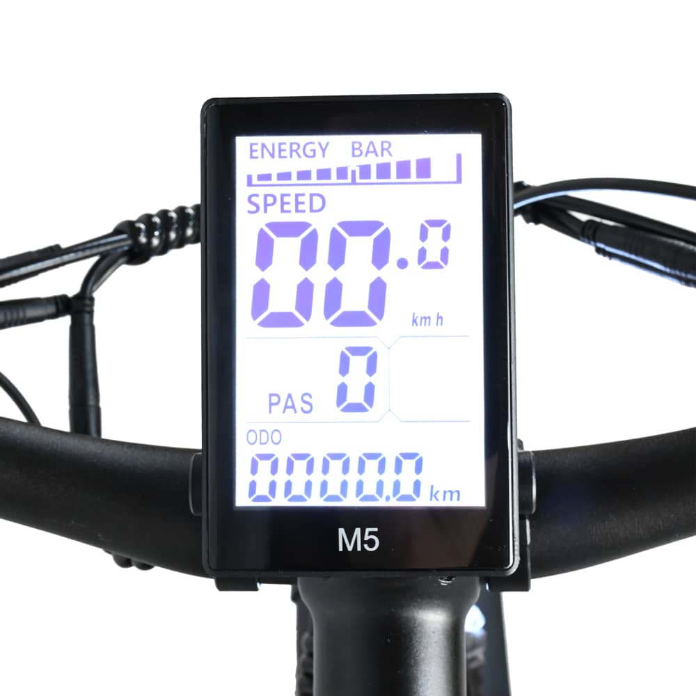 M5 LCD Display