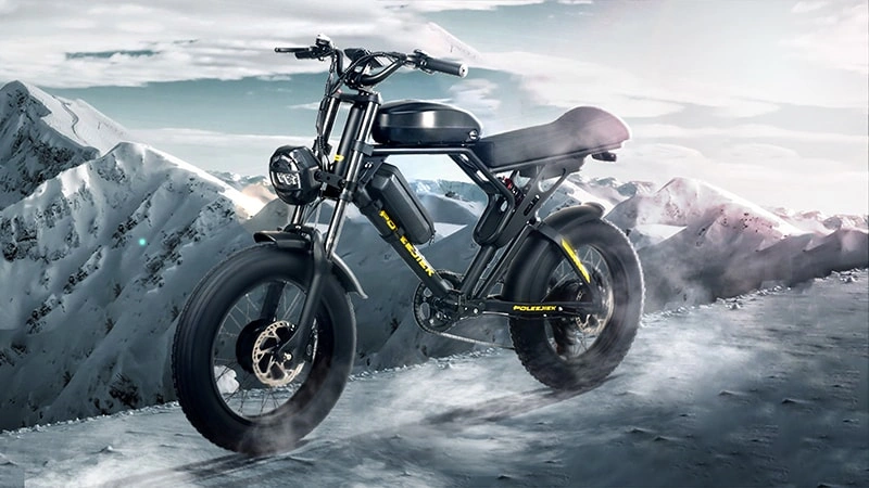 Retro Electric Bicycle