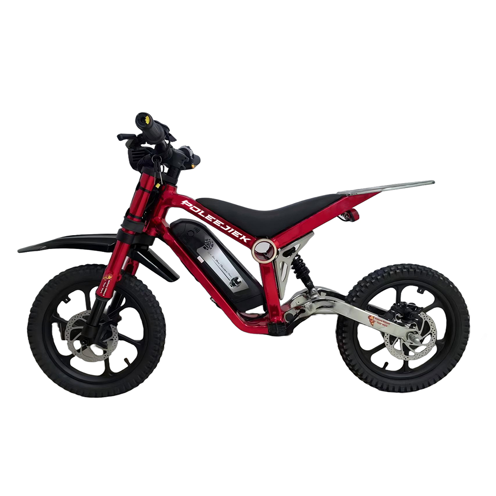 BLJ-1602 Kids Electric Bike with 350W Motor Dual Suspension and LCD Display | POLEEJIEK
