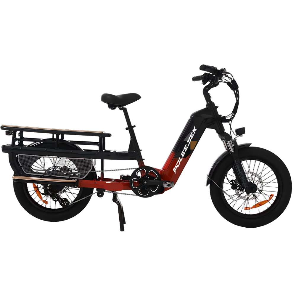 BLJ-DC009 Cargo Electric Bike with 750W Motor 48V 15AH Battery and Hydraulic Brakes | POLEEJIEK