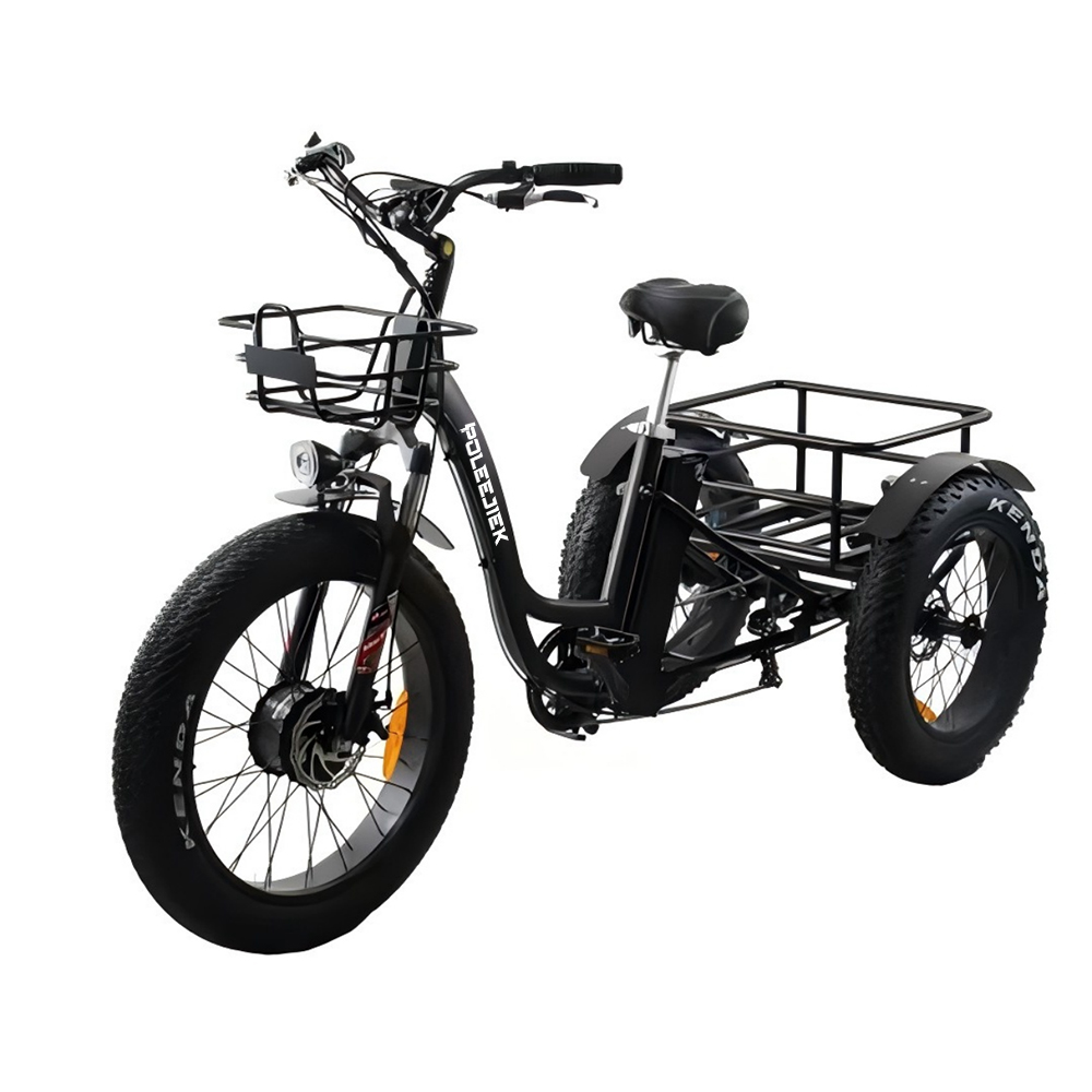 BLJ-T001 Electric Cargo Bike | 750W Delivery Fleet & OEM | Poleejiek