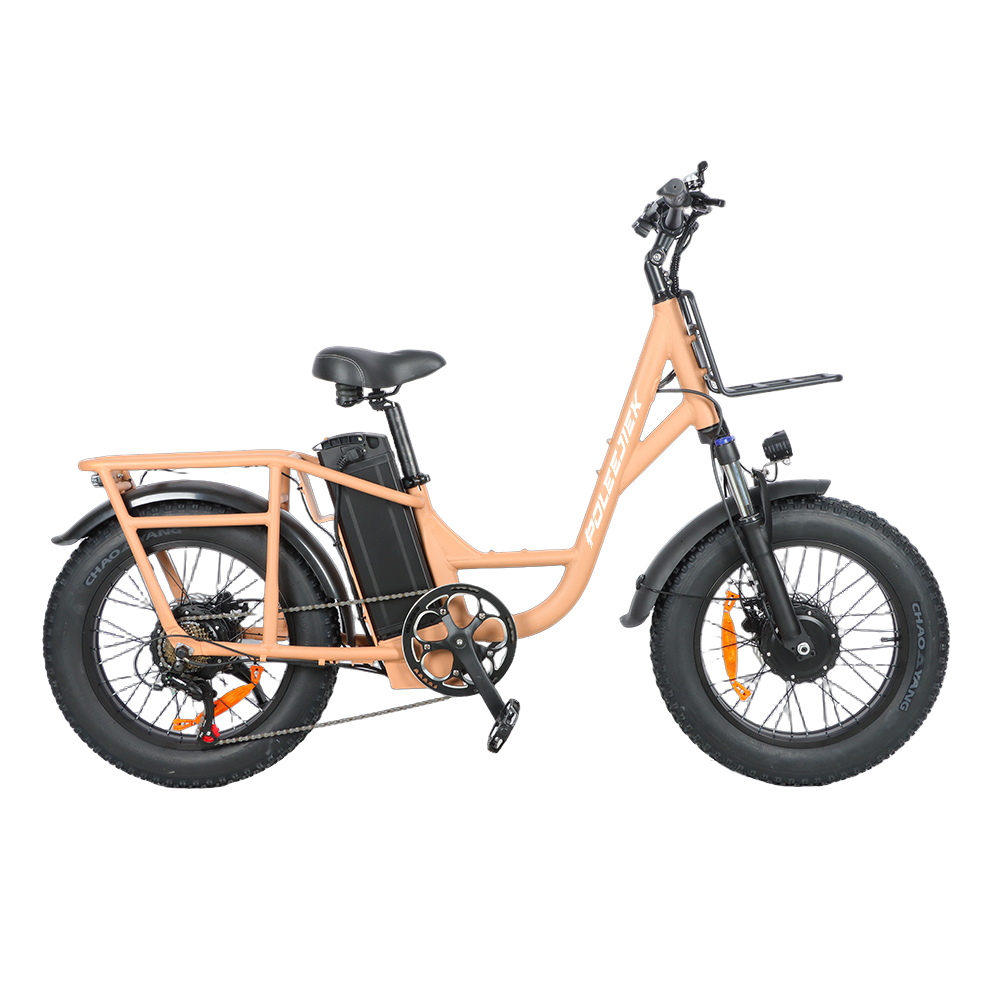 BLJ-2013 Cargo Electric Bike 1000W Dual Motor 48V Battery