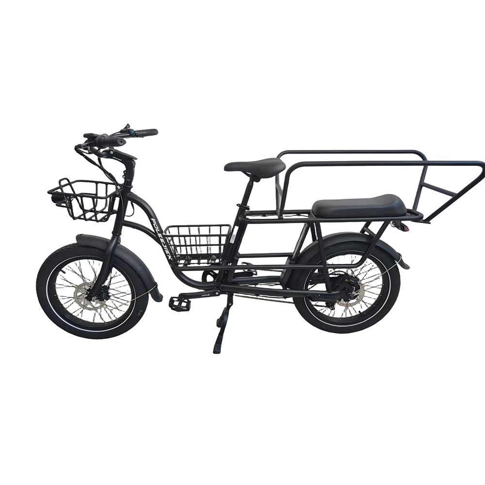 BLJ-2016 Versatile Cargo Electric Bike 750W Motor 48V 16AH Battery | POLEEJIEK
