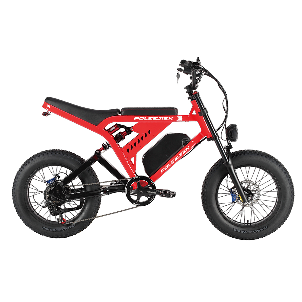 BLJ-S2009 Powerful Retro Electric Bike 2000W Dual Drive Motor 48V Battery | POLEEJIEK
