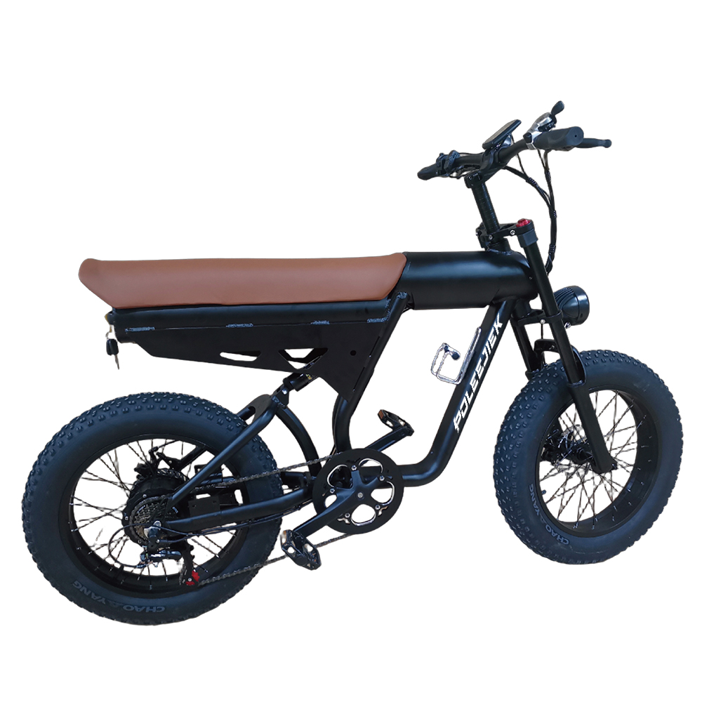 Inquire Now: BLJ-2006 Retro E-Bike for B2B & Fleets