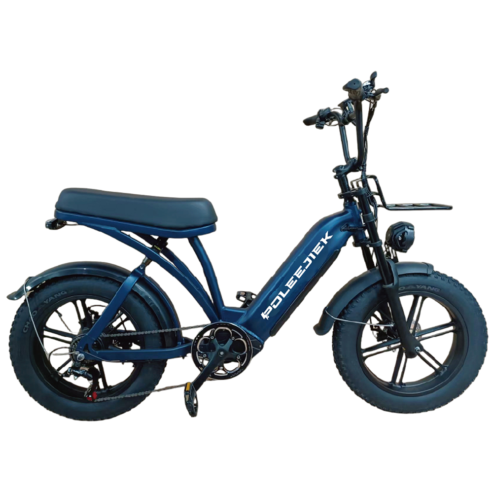 Custom OEM Retro E-Bikes | 500W Power Cruiser BLJ-2015 | POLEEJIEK