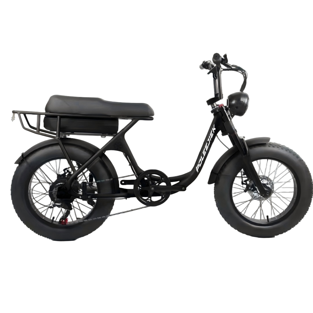 BLJ-M005 Classic Retro Electric Bike 750W Hub Motor 48V Battery | POLEEJIEK