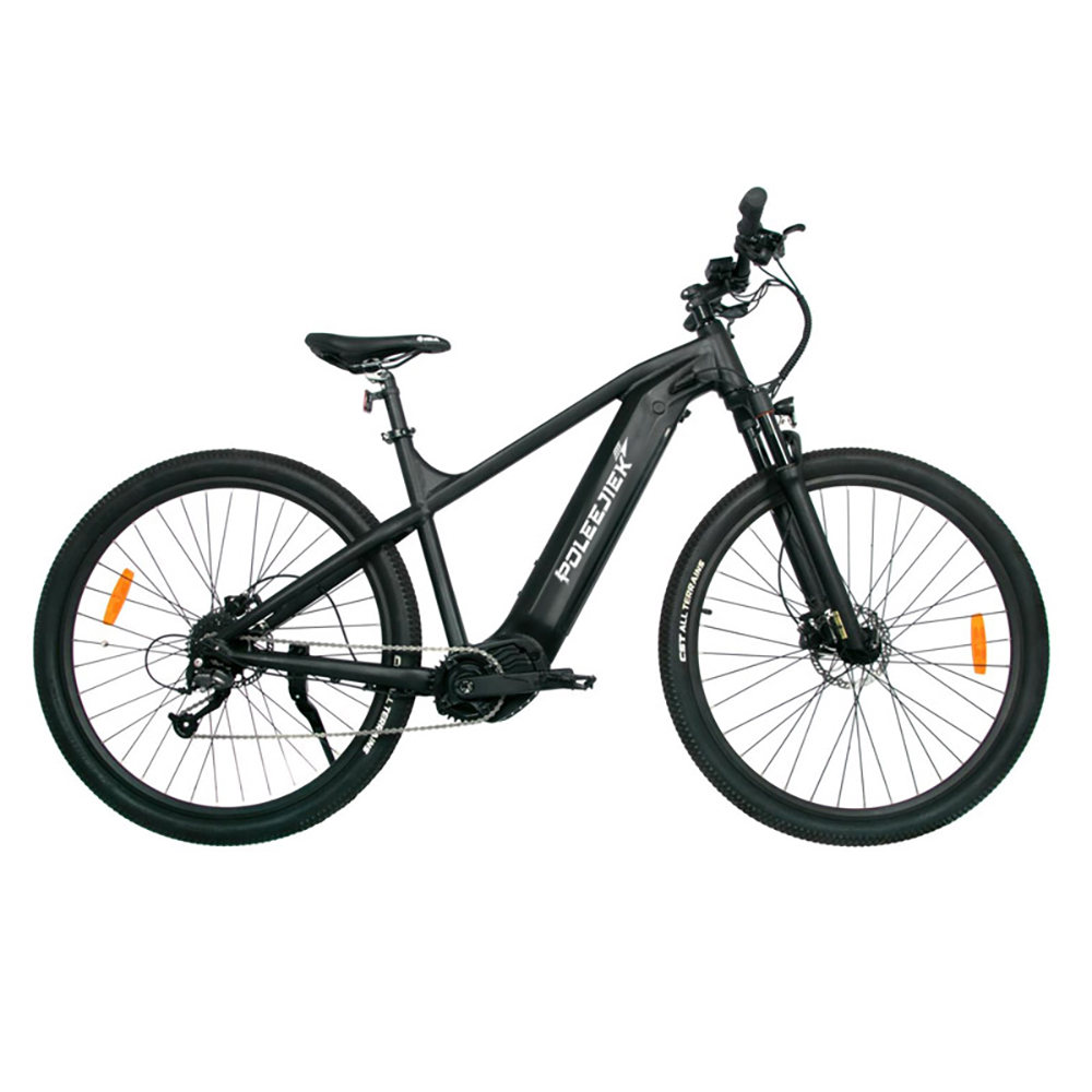 Wholesale Mid-Drive Fat Bike | DS-2603 OEM | POLEEJIEK