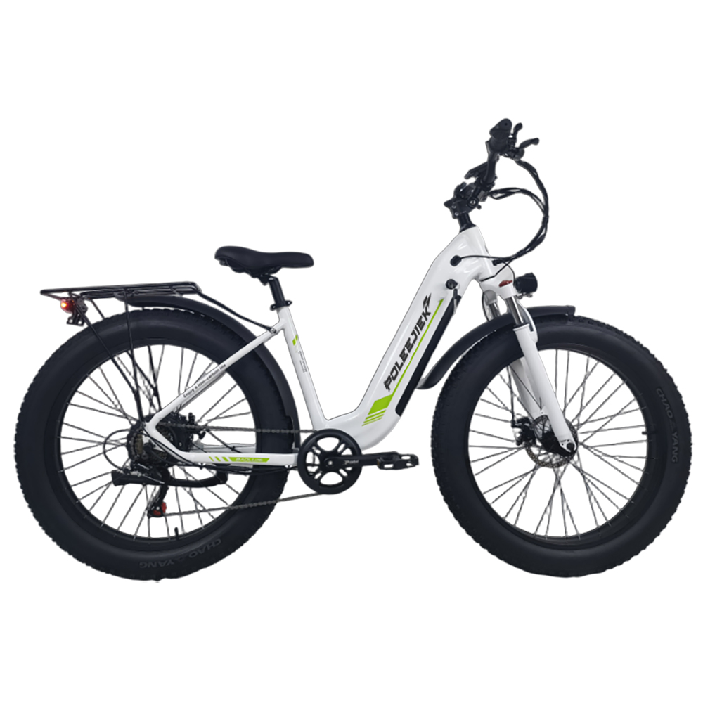 BLJ-2622 Elegant Women's Mountain Electric Bike 500W Hub Motor 48V Battery | POLEEJIEK
