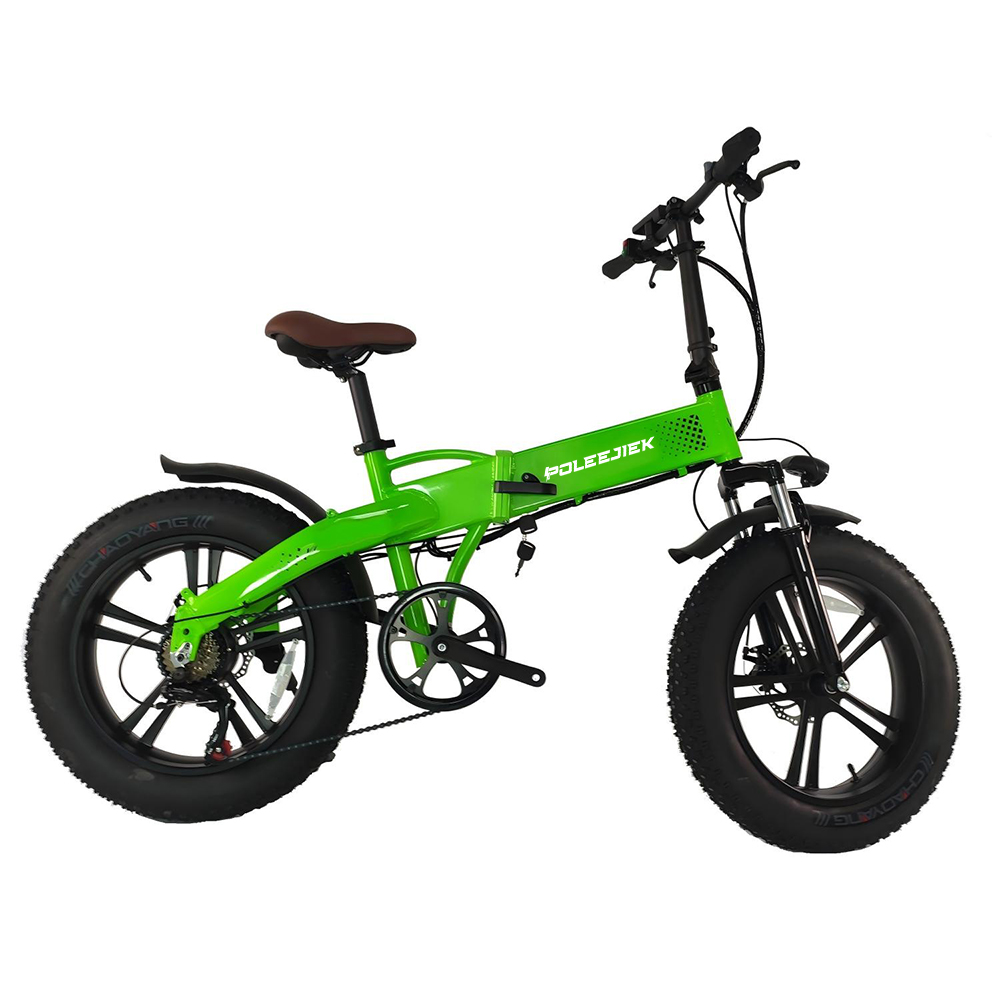 BLJ-2003 Compact Folding Electric Bike 350W Hub Motor 48V Battery | POLEEJIEK