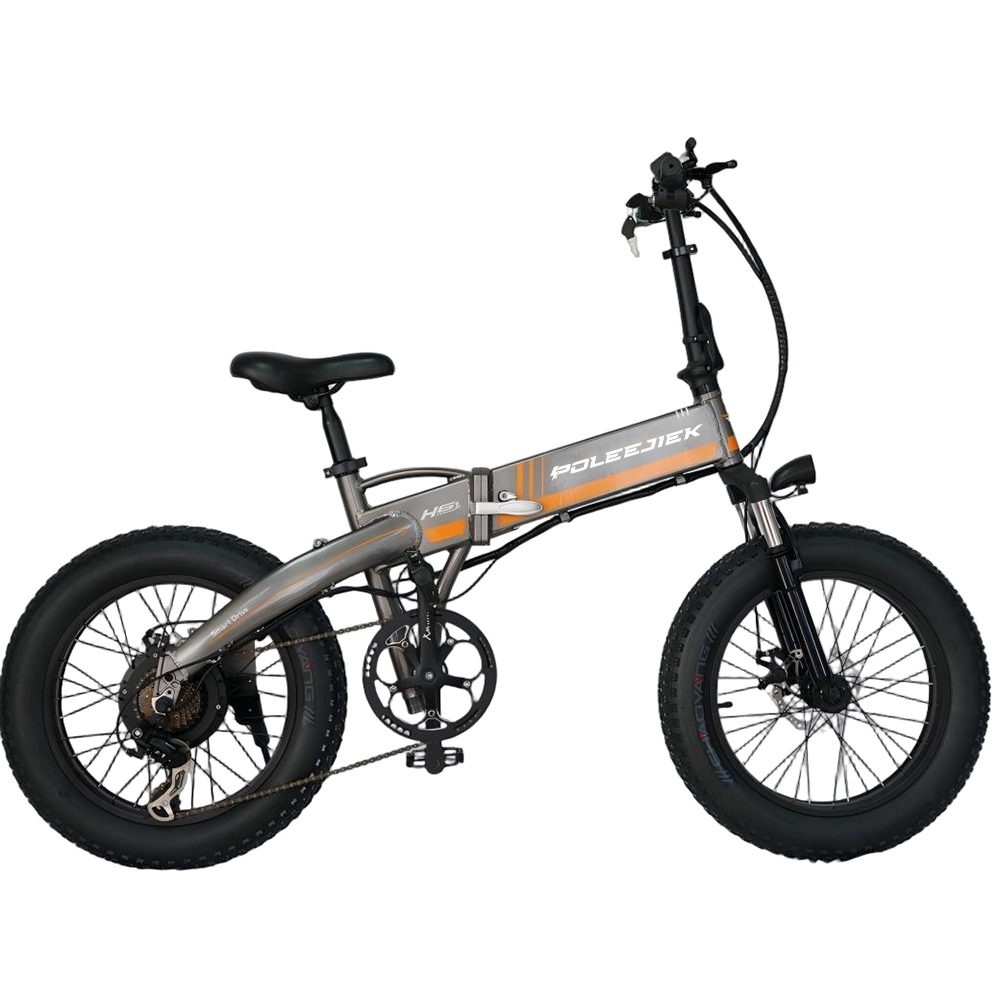BLJ-2019 Urban Folding Electric Bike 500W Hub Motor 48V Battery | POLEEJIEK