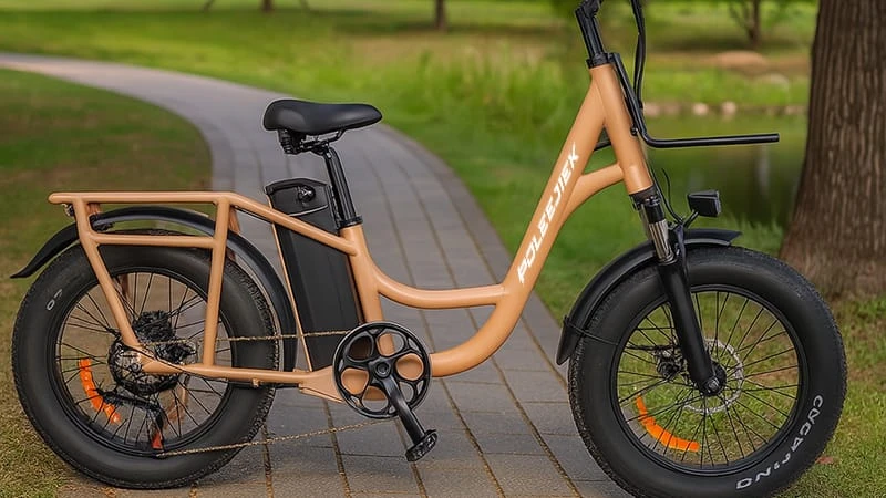 high-power cargo e-bike, family cargo bike, urban commuting, eco-friendly transport, 1000W e-bike, long-range e-bike, cargo bike review, electric bike 2025