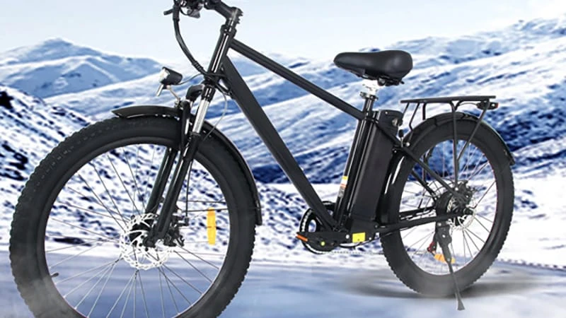 POLEEJIEK high-value cheap electric bikes and adult conversion kits