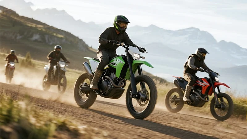 POLEEJIEK affordable electric dirt bike for adults