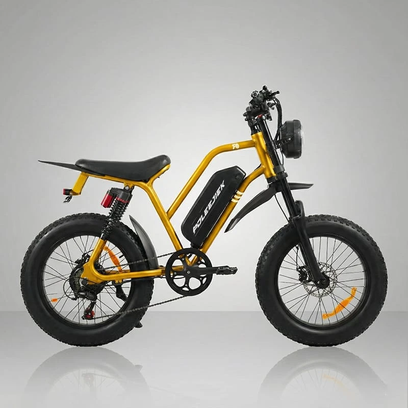 Side profile of the heavy duty POLEEJIEK F6 electric dirt bike for adults, featuring a reinforced steel frame and retro design suitable for 2026 market trends.